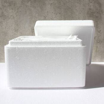 Foam Box (Large)